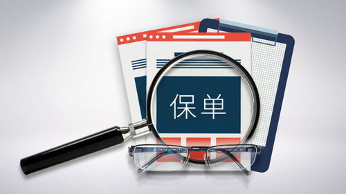 車險電子保單視頻 希財網(wǎng)